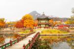 [MÙA THU HÀN QUỐC 2026] - SEOUL - NAMI - EVERLAND